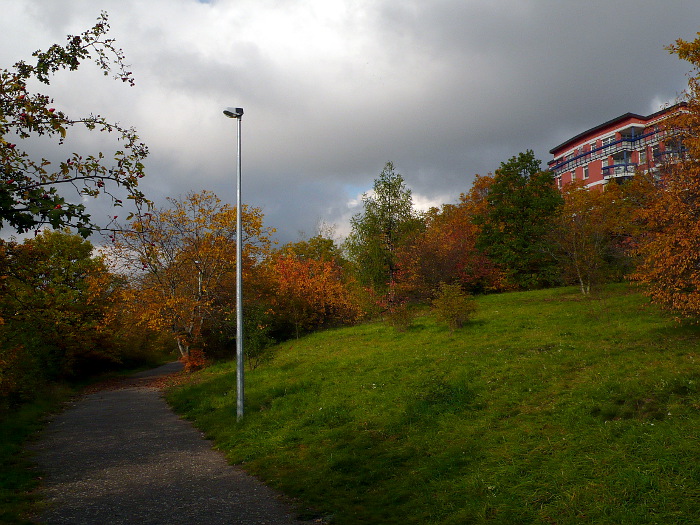 Cesta parkem pod Galerií nad Vltavou