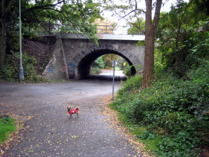 Železniční viadukt u Podviní